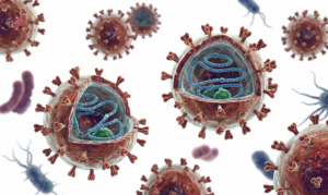 Hanta Virus là gì? Chủng Andes Orthohantavirus (ANDV) là gì?